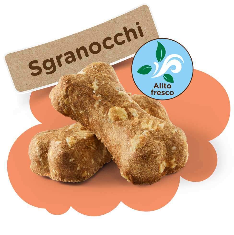 Sgranocchi