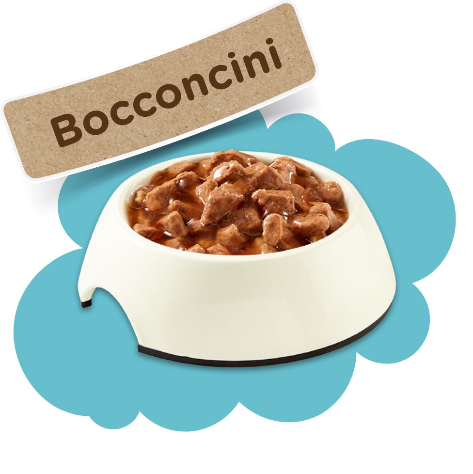 Bocconcini