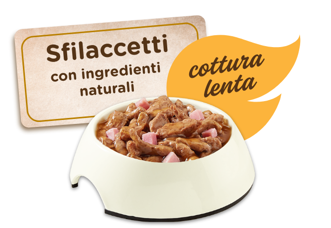 sfilaccetti